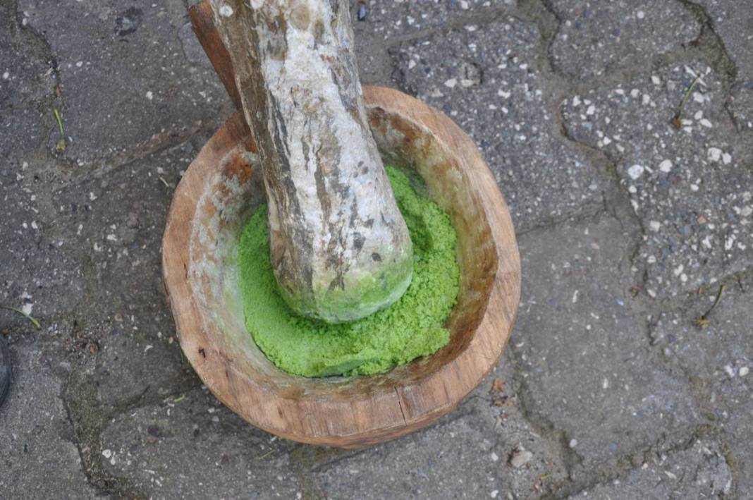 Sıfır sermaye ile dağdan toplayıp kilosu 5 bin TL'ye satıyor! Birçok rahatsızlığa iyi geliyor 11